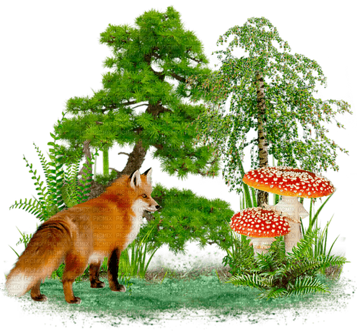 fox by nataliplus - nemokama png