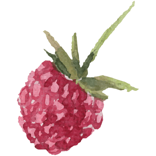 raspberry watercolor Bb2 - png gratuito