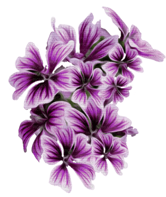 Kaz_Creations Purple Flowers - png gratuito