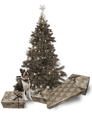kikkapink christmas deco winter - PNG gratuit