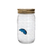 butterfly in a jar2 - Бесплатни анимирани ГИФ