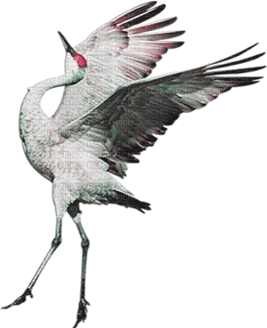 soave deco bird oriental crane pink green - gratis png