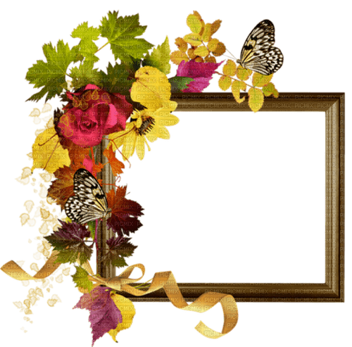 flowers frame - darmowe png