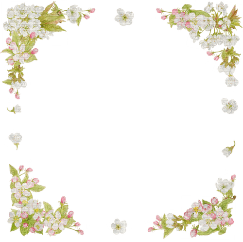 Fleurs.Flowers.Cadre.Frame.Round.Victoriabea - 免费PNG
