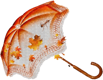 Зонт осень - Gratis geanimeerde GIF
