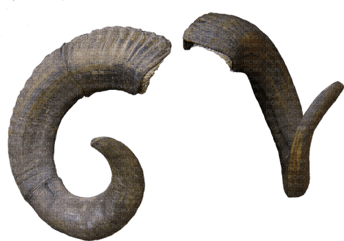 horns - zadarmo png