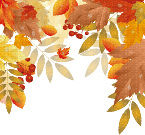 loly33 feuilles automne - PNG gratuit