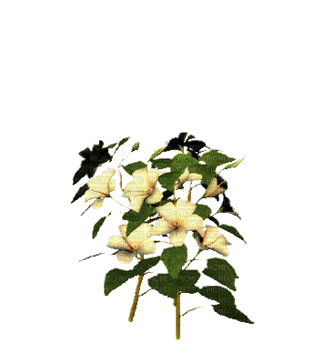 plants anastasia - GIF animado grátis