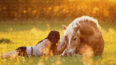 woman with horse bp - Zdarma animovaný GIF