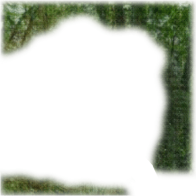 green overlay - darmowe png