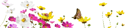 Y.A.M._Summer Flowers Decor - Ingyenes animált GIF