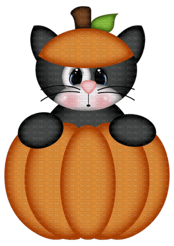 little cat in a pumpkin - nemokama png