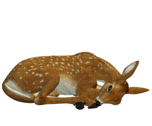 deer - ilmainen png