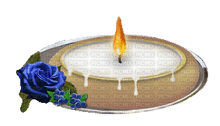 Candle, Candles, Flower, Flowers, Rose, Roses, Blue, Purple - Jitter.Bug.Girl - Zdarma animovaný GIF