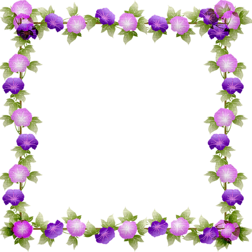 Frame Flowers - 免费PNG