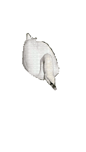 Птица - Gratis geanimeerde GIF