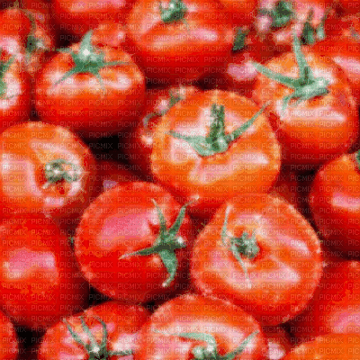Tomatoes Background - GIF animado gratis