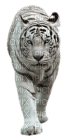 Kaz_Creations Animals Tiger - nemokama png