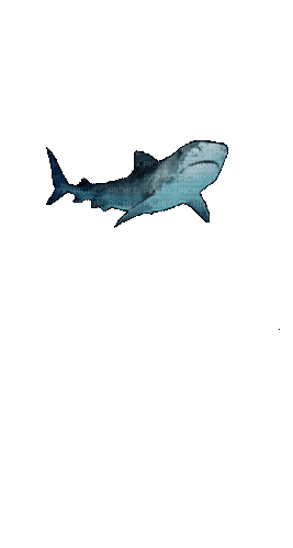 Рыба - Animovaný GIF zadarmo
