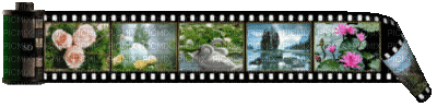 cecily-barre film couleur animee - GIF animé gratuit