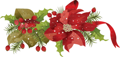 Kaz_Creations Deco Flowers  Christmas Noel - PNG gratuit