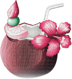 soave deco summer tropical flowers fruit cocktail - PNG gratuit