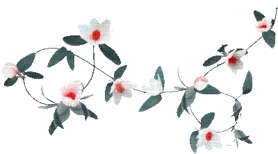soave deco branch animated spring flowers - Gratis geanimeerde GIF