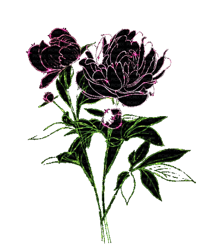 flowers milla1959 - Бесплатный анимированный гифка