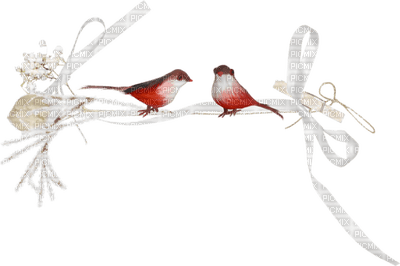 Kaz_Creations Birds Bird Deco - png ฟรี