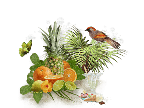 Obst, Zitrus - PNG gratuit