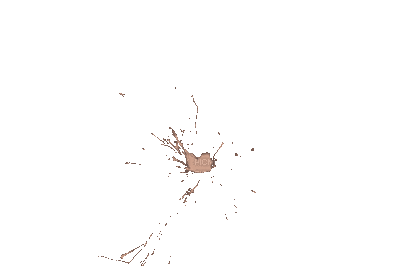 fireworks anastasia - Bezmaksas animēts GIF