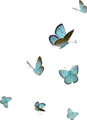 soave deco butterfly animated blue - GIF animado gratis