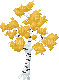 birch tree - zdarma png