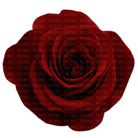 Kaz_Creations Deco Flowers Roses Flower Rose - png ฟรี