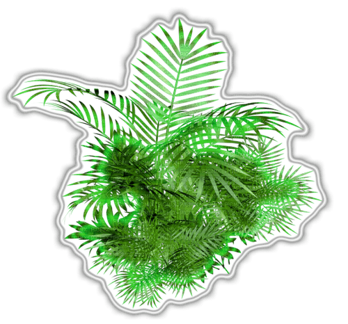 plants - PNG gratuit
