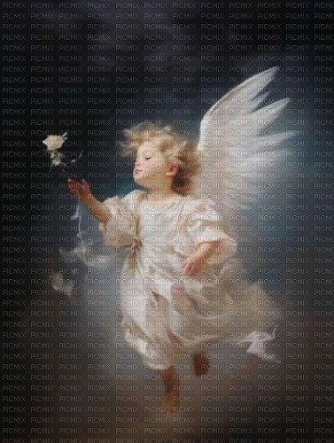 litlle angel - Free PNG