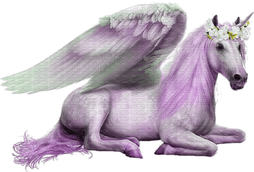unicorn by nataliplus - фрее пнг