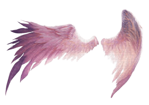 pink angel wings - безплатен png