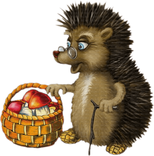 Hedgehog Mushrooms - Bogusia - PNG gratuit