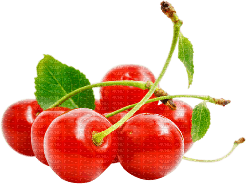 Red Cherries - PNG gratuit