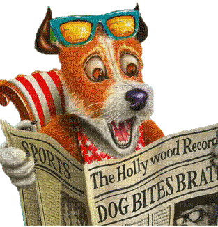 chien dog - GIF animado gratis
