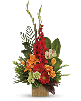 Kaz_Creations Deco Flowers Vase Colours Plant - Free PNG