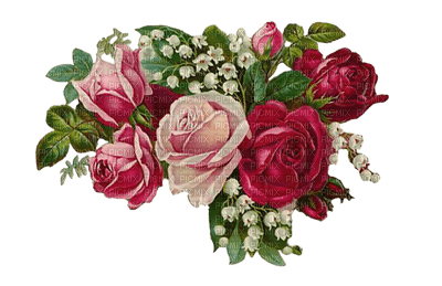 kukka, flower, fleur, rose, ruusu - 無料png