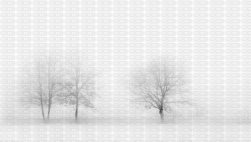 Trees in Winter - Free PNG
