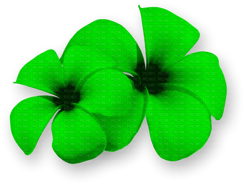 Flowers.Summer.Tropical.Green - zadarmo png