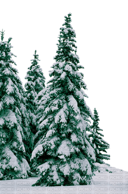 winter hiver paysage landscape forest snow neige fond background - png grátis
