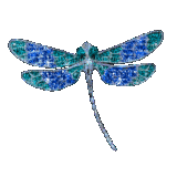 Dragonfly - Бесплатный анимированный гифка
