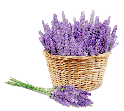 Lavender bouquet and basket - darmowe png