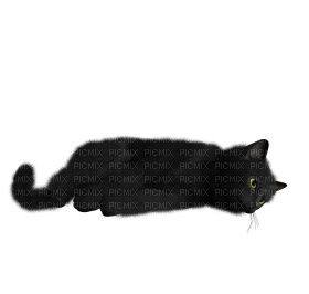 Kaz_Creations Cat Kitten - безплатен png