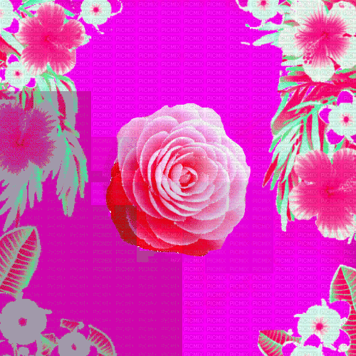 Lu  / BG.anim..flowerspring.ipink.dca - 無料のアニメーション GIF